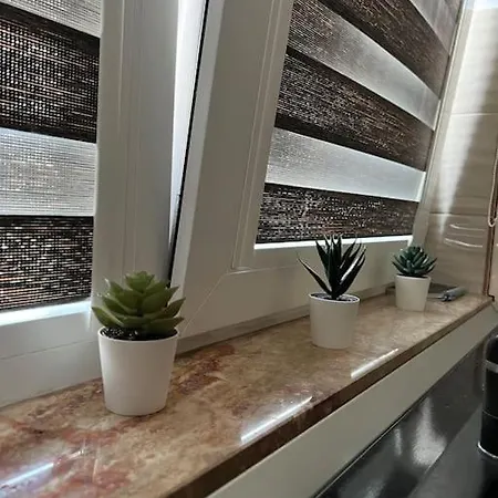 Marului Daire Bükreş